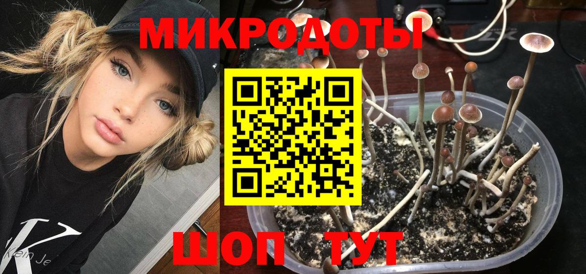 Галлюциногенные грибы Psilocybine cubensis  Вход с VPN  Галлюциногенные грибы Psilocybine cubensis  Южноуральск 