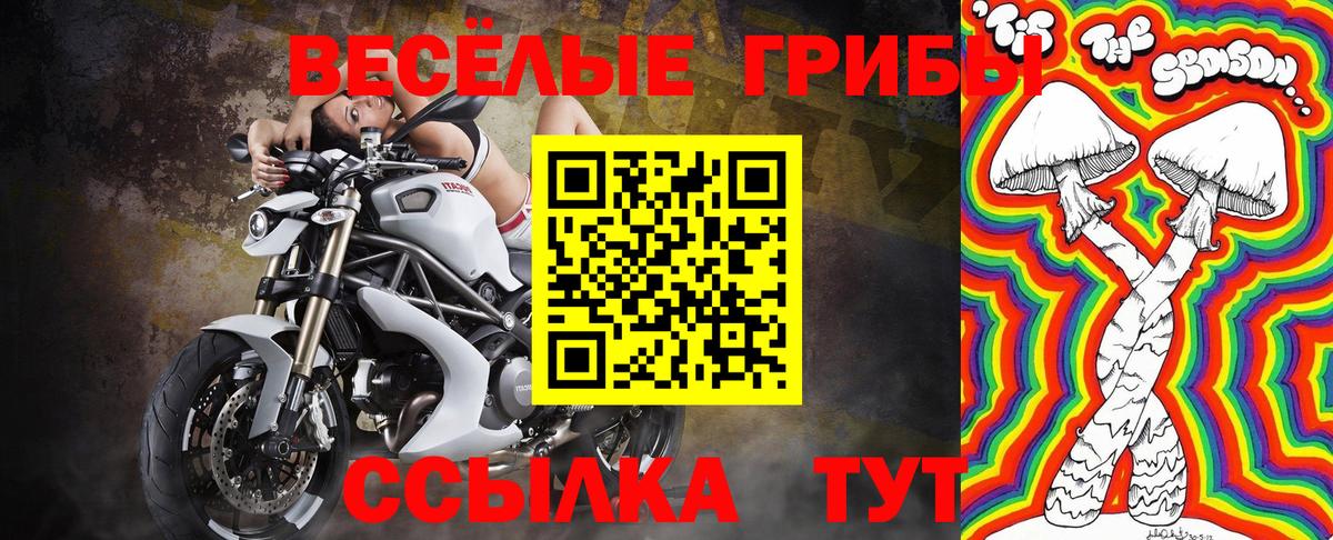 Галлюциногенные грибы прущие грибы Южноуральск